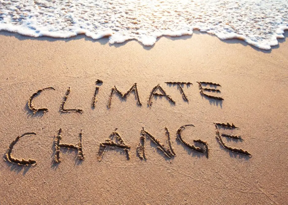 Climate change spelled out in sand on beach by ocean.