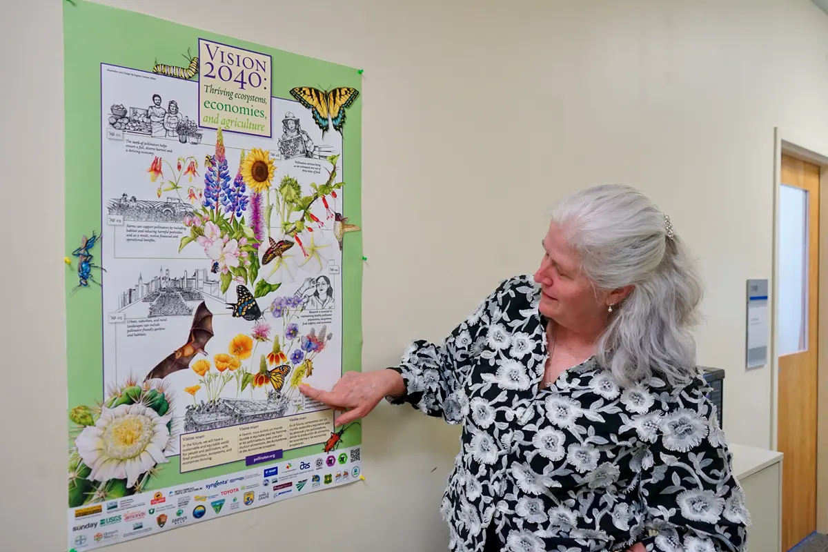 A person stands on a stairway outside next to a pollinator garden.