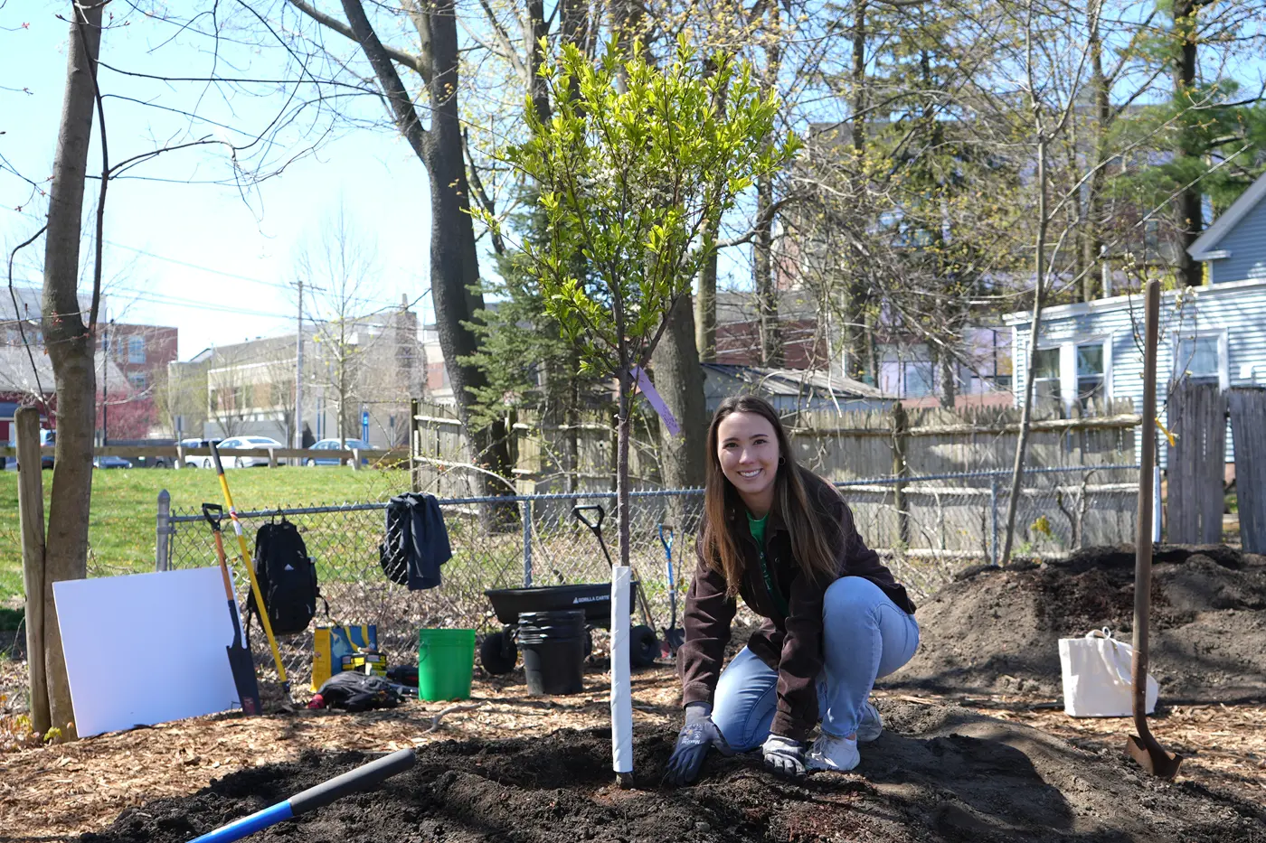 food forest alana smith