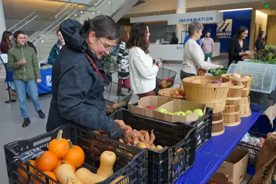 Man looking through bin of sweet potatoes at indoor farmers market