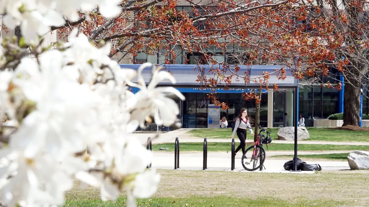 Student walks by bike rack with spring buds on trees in foreground.
