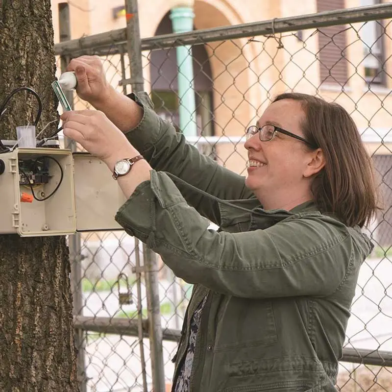 A UMass Lowell professor collects data from a sap flow sensor.