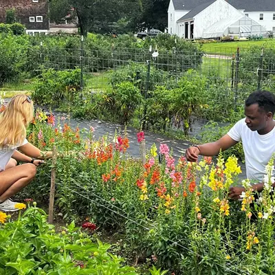 Woman and man tending to flowers