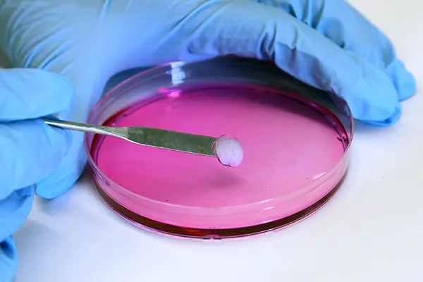 Hydrogel in the lab