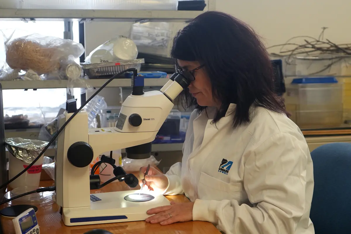 Jessica Garb uses a microscope.