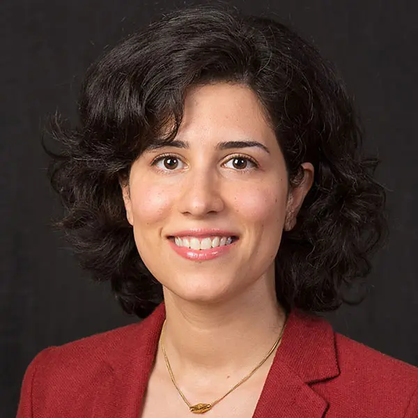 Assoc. Prof. Arghavan Louhghalam