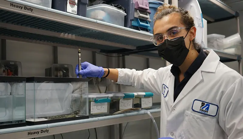 Mateo Rull in lab with an axolotl