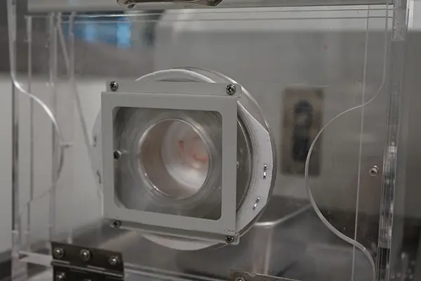 A mask prototype after a synthetic blood test at UML's Fabric Discovery Center