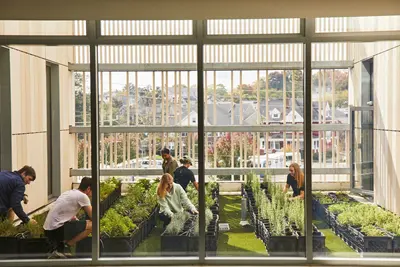 Students tend to a rooftop garden
