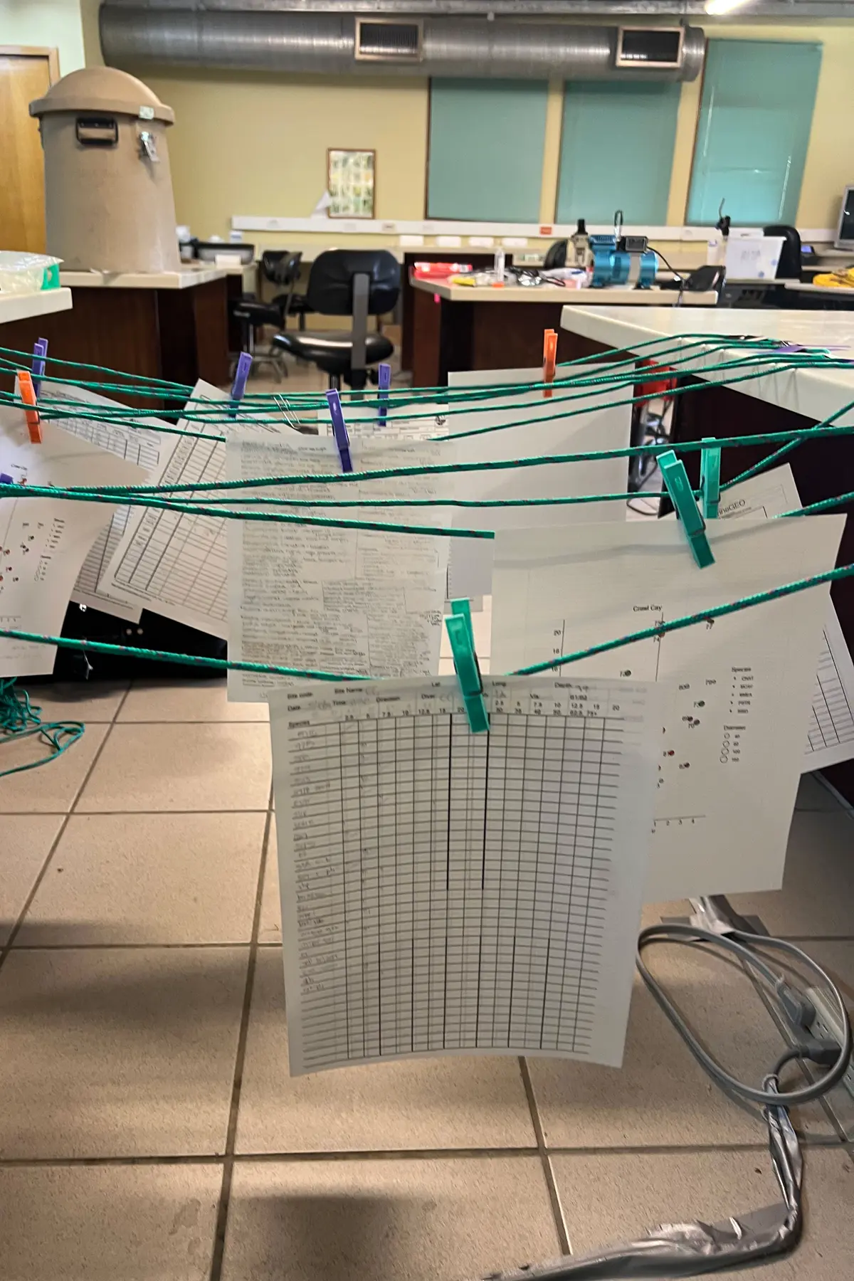 Data sheets drying off following a dive. 