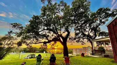 Tree at sunset overlooking Merrimack River