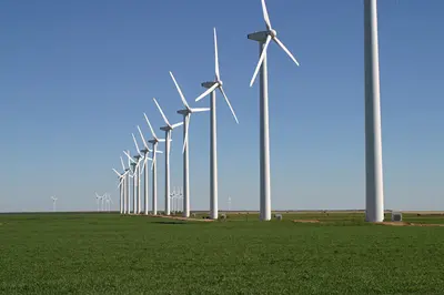 Field with wind turbines