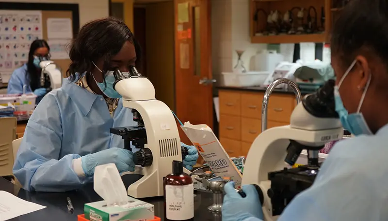 Dannalee Watson works at a microscope