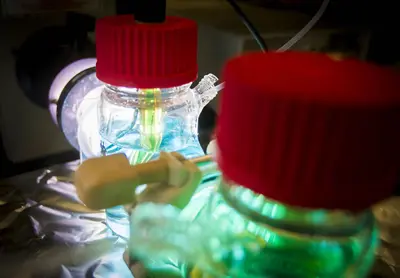An Energy Conversion Experiment. The ELECTROCHEMICAL ENERGY LAB  primary research interests are centered on fundamental materials development and new processes in solving one of the most critical issues of our time, affordable and sustainable energy.