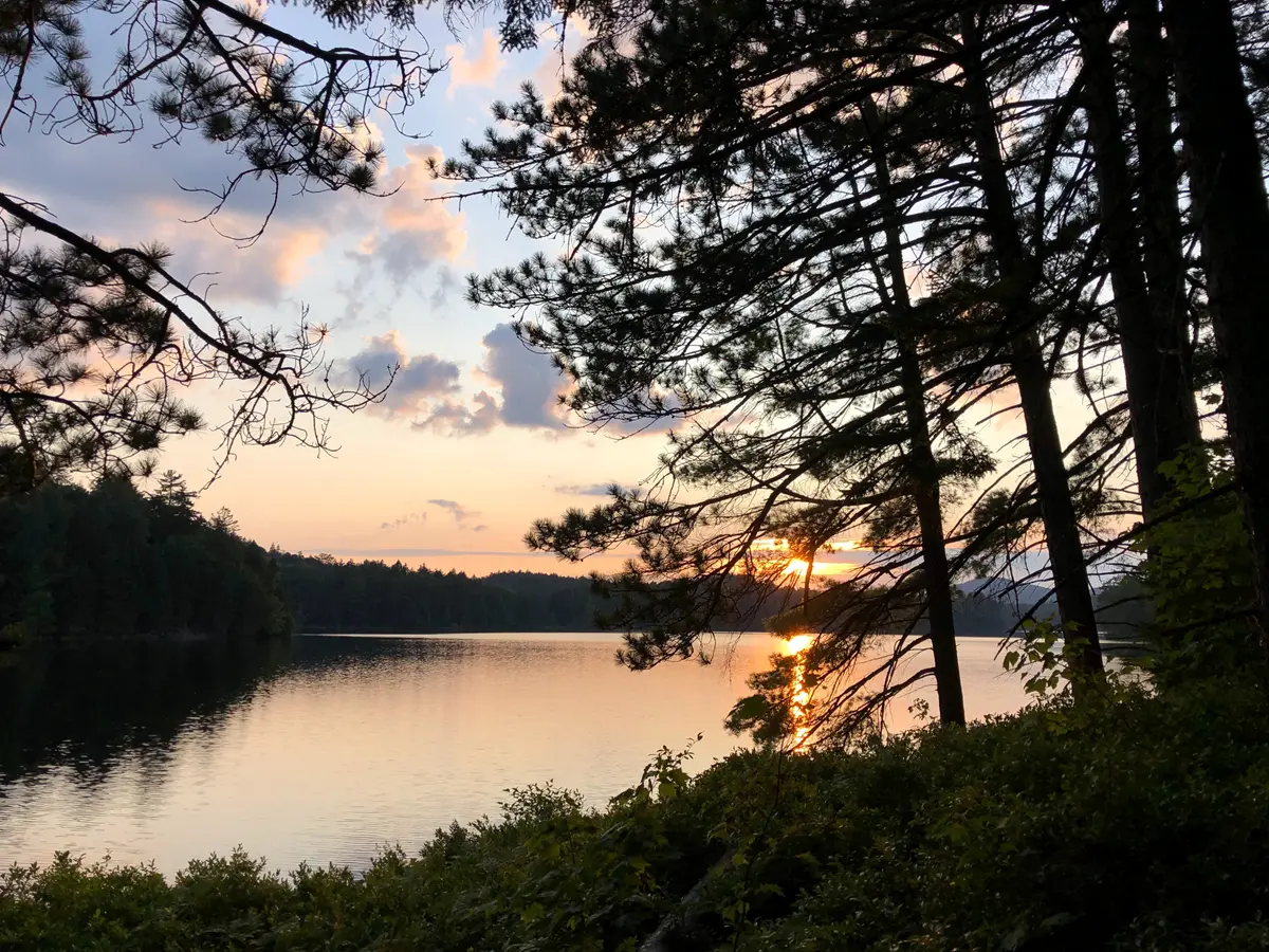 lake view with trees framing a golden sunset