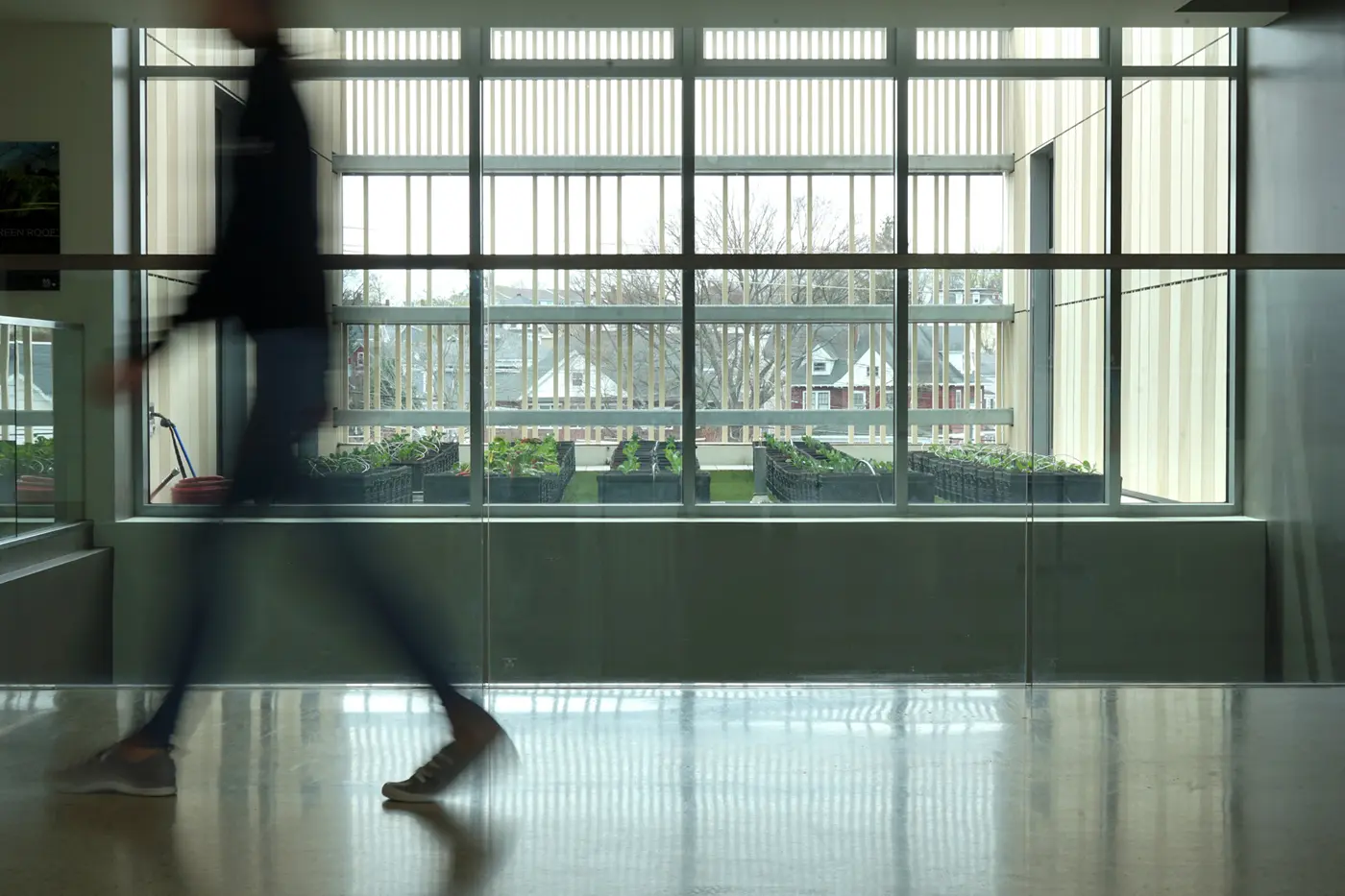 Blurry student walks past roof garden outside window