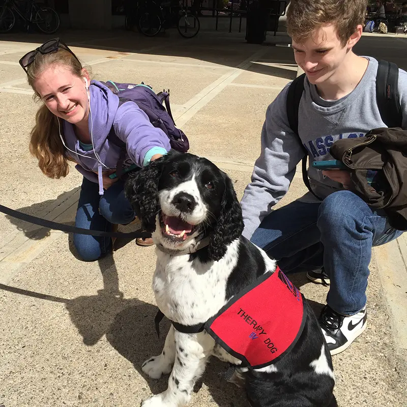 2 students pet Ben the therapy dog, a black and white spaniel.
